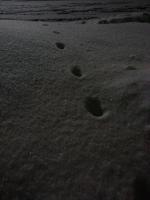 Art - Lost Footprints - Add New Artwork Medium